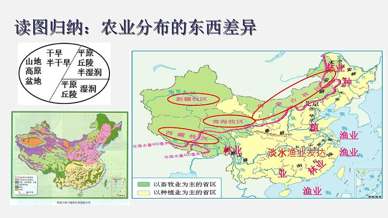 4.2 农业（课件）-2022-2023学年八年级上学期同步备课系列（人教版）第8页