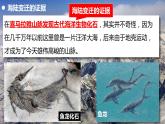 3.2海陆变迁（备课件）-2022-2023学年七年级地理同步备课系列（商务星球版）