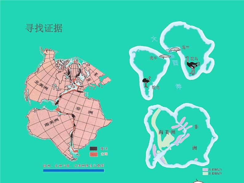 2022七年级地理上册第二章陆地和海洋第二节海陆的变迁课件新版新人教版第8页