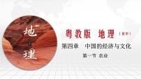 粤教版八年级上册第一节 农业优质ppt课件