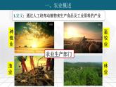 粤教版八上地理 4.1 农业  PPT课件