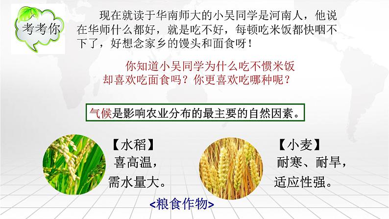 粤教版八上地理 4.1 农业  PPT课件08