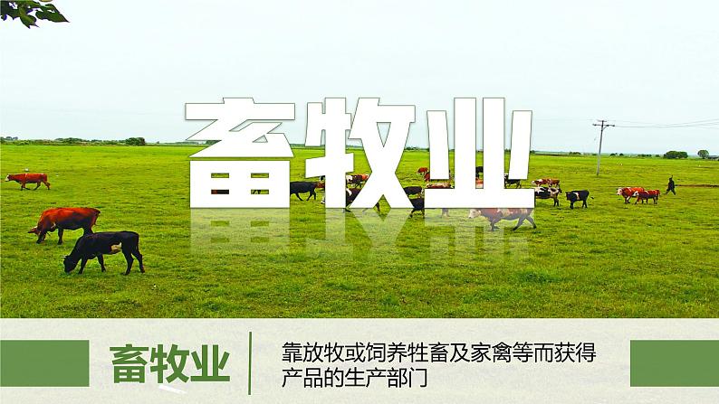 4.2农业（第1课时）（课件）-2022-2023学年八年级地理上册同步备课系列（人教版）08