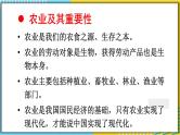 人教版八上地理4.2《农业》课件