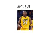湘教版地理七年级上册课件3.2 世界的人种