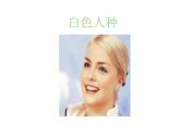 湘教版地理七年级上册课件3.2 世界的人种