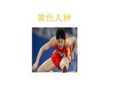 湘教版地理七年级上册课件3.2 世界的人种