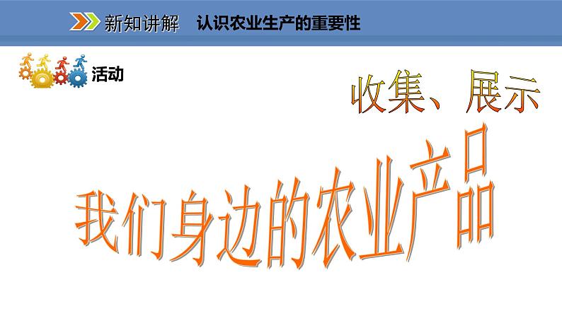 人教版地理八年级上册课件4.2.1农业的重要性  我国农业的地区分布06