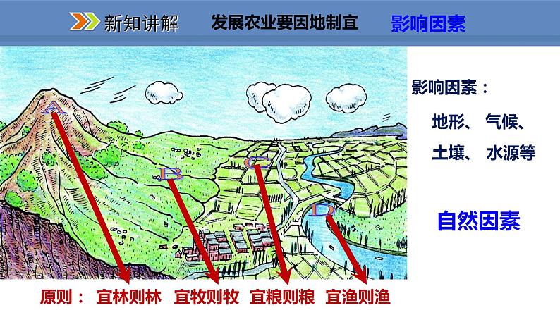 人教版地理八年级上册课件4.2.2发展农业要因地制宜 走科技强农之路08