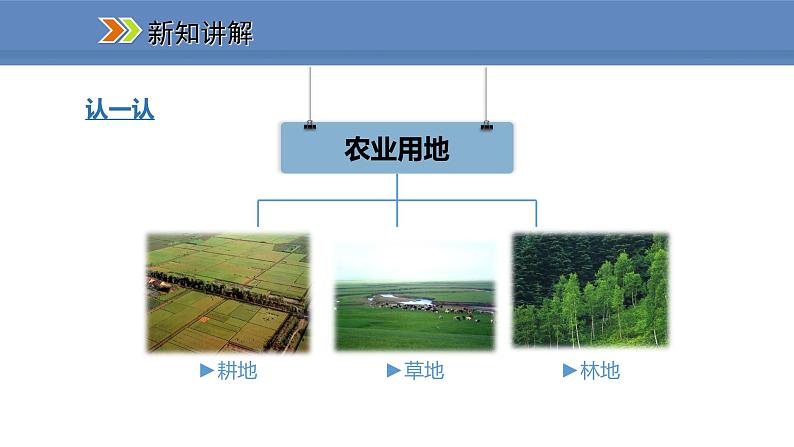 人教版地理八年级上册课件3.2土地资源03