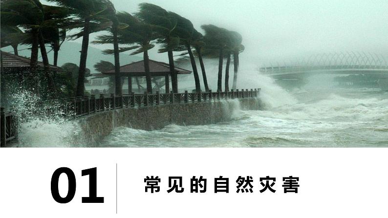 2.4自然灾害-2022-2023学年八年级上学期同步精品课件（人教版）05