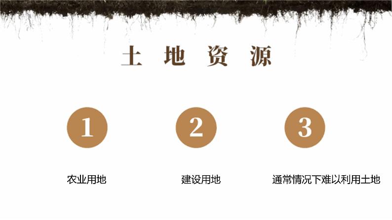 3.2土地资源-2022-2023学年八年级上学期同步精品课件（人教版）08