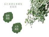 人教版地理八年级上册第二章第三节《河流》（第二课时）课件