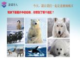 7.5北极地区和南极地区+课件2022-2023学年湘教版地理七年级下册