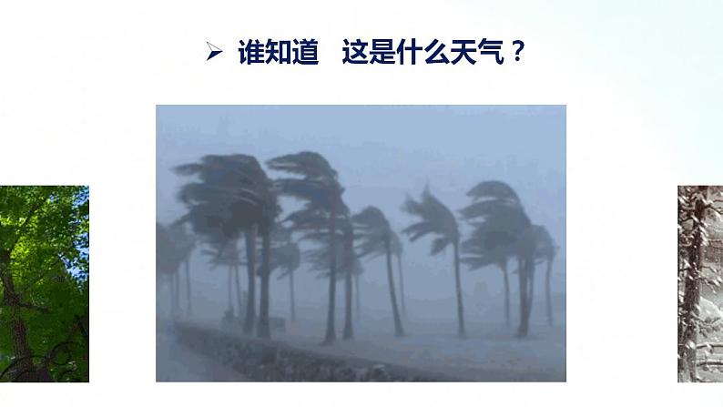 人教版地理七年级上册 3.1多变的天气 课件+同步练习05