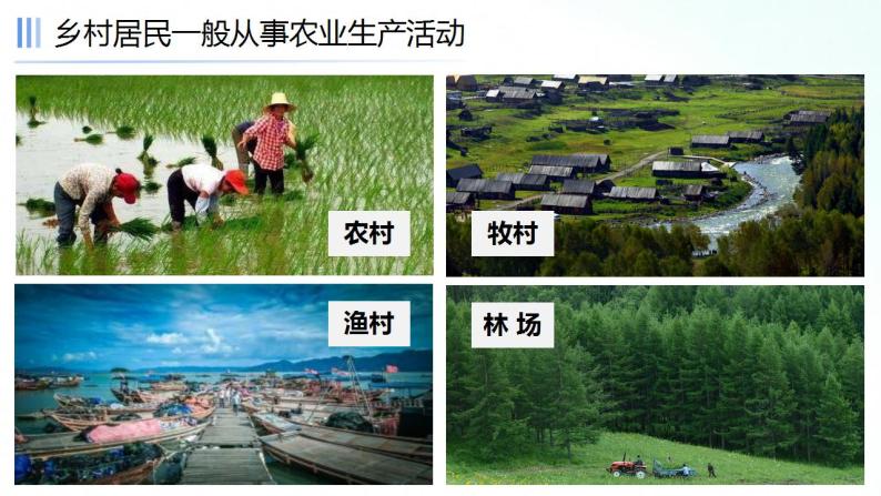 人教版地理七年级上册 4.3人类的聚居地——聚落 课件+同步练习05