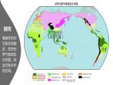 8.3撒哈拉以南非洲（课件）-2022-2023学年七年级地理下册同步备课系列（人教版）