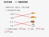 3.4中国的海洋资源课件   湘教版地理八年级上册