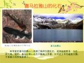 地理七年級(jí)上第三章《海陸變遷》參考課件3