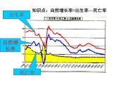 商务星球版地理七年级上第五章《世界的居民》复习课件