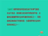 地理人教版七年级下册同步教学课件期末核心素养专练4人地协调观：不同区域自然环境对人类生产生活的影响习题