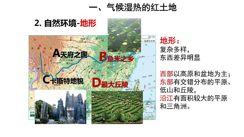 地理人教版八年级下册同步教学课件第7章南方地区第1节自然特征与农业06