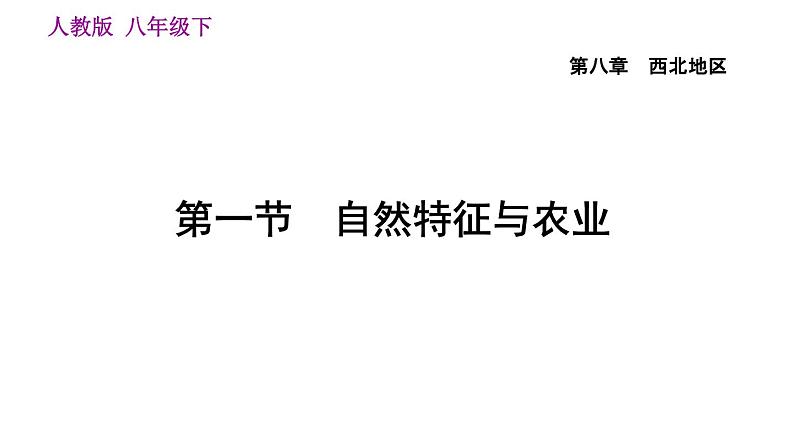 地理人教版八年级下册同步教学课件第8章西北地区第1节自然特征与农业第3页