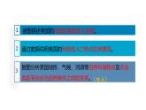 地理人教版七年级下册同步教学课件第9章 西半球的国家第1节美国第1课时民族大熔炉农业地区专业化
