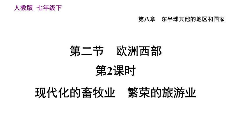 地理人教版七年级下册同步教学课件第8章 东半球其他的地区和国家第2节欧洲西部第2课时现代化的畜牧业繁荣的旅游业第4页