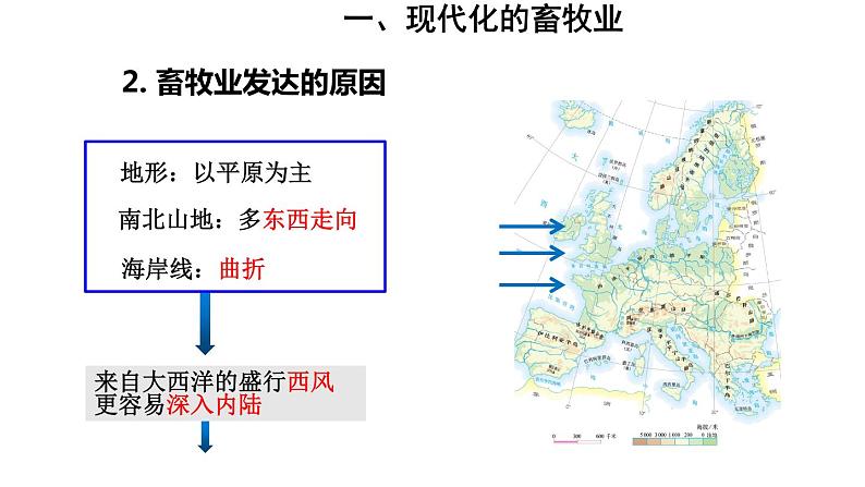 地理人教版七年级下册同步教学课件第8章 东半球其他的地区和国家第2节欧洲西部第2课时现代化的畜牧业繁荣的旅游业第7页