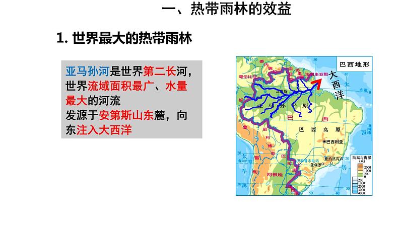 地理人教版七年级下册同步教学课件第9章 西半球的国家第2节巴西第2课时热带雨林的开发与保护04