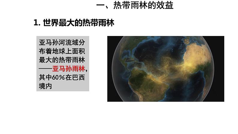 地理人教版七年级下册同步教学课件第9章 西半球的国家第2节巴西第2课时热带雨林的开发与保护05