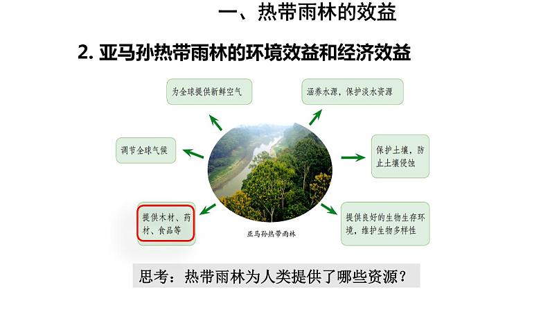 地理人教版七年级下册同步教学课件第9章 西半球的国家第2节巴西第2课时热带雨林的开发与保护06