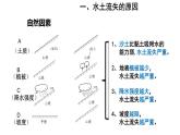 地理人教版八年级下册同步教学课件第6章北方地区第3节世界最大的黄土堆积区-黄土高原第2课时严重的水土流失水土保持