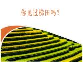 1.4 地形图的判读   同步课件  初中地理人教版七年级上册