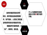 2.4 自然灾害多发（ 精品课件 初中地理仁爱版八年级上册