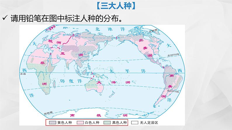 初中地理商务星球版七年级上册 5.2 人种、语言、宗教 同步教学课件第8页