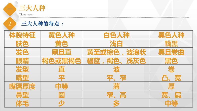 初中地理中图版八年级上册 3.1 人种和人口 同步课件04