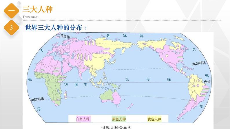 初中地理中图版八年级上册 3.1 人种和人口 同步课件05