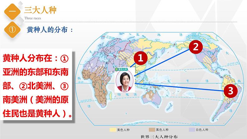 初中地理中图版八年级上册 3.1 人种和人口 同步课件06