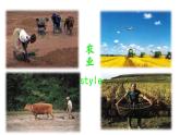 初中地理仁爱版七年级上册 第五章 区域发展差异 课件