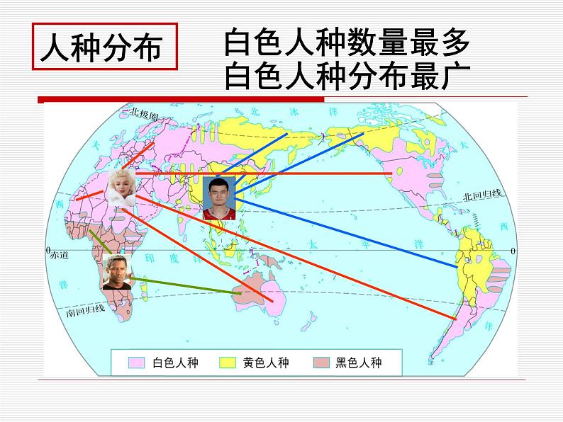 3.1 人种与人口课件06