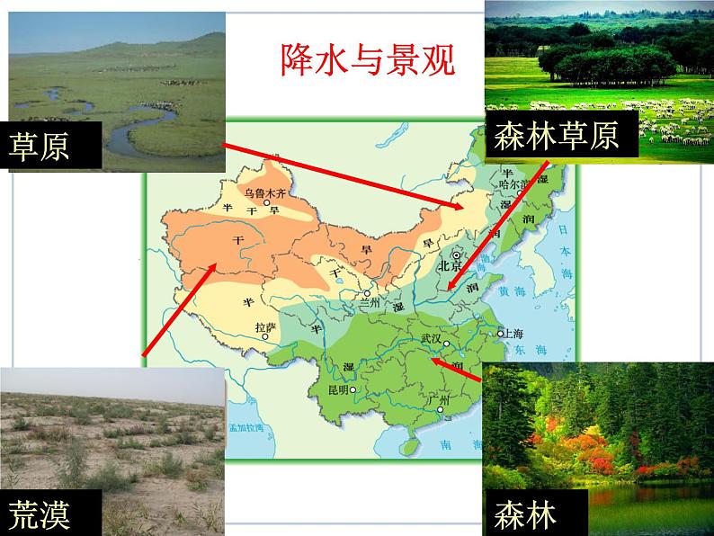 初中地理八上2.2.2气候讲授课件06