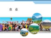 初中地理八上4.2农业讲授课件