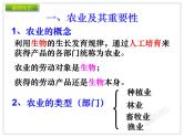 初中地理八上4.2农业讲授课件
