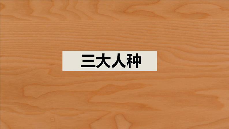 商务星球版初中地理七上 第五章 第二节世界的人种、语言和宗教课件第6页