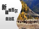 商务星球版初中地理八下 第八章 第二节 新疆维吾尔自治区课件