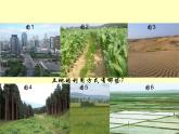初中地理八上第3章第二节 土地资源 课件