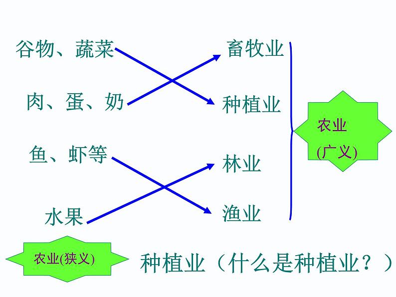 初中地理八上第4章第2节第1课时  农业及其重要性  我国农业的地区分布 课件08