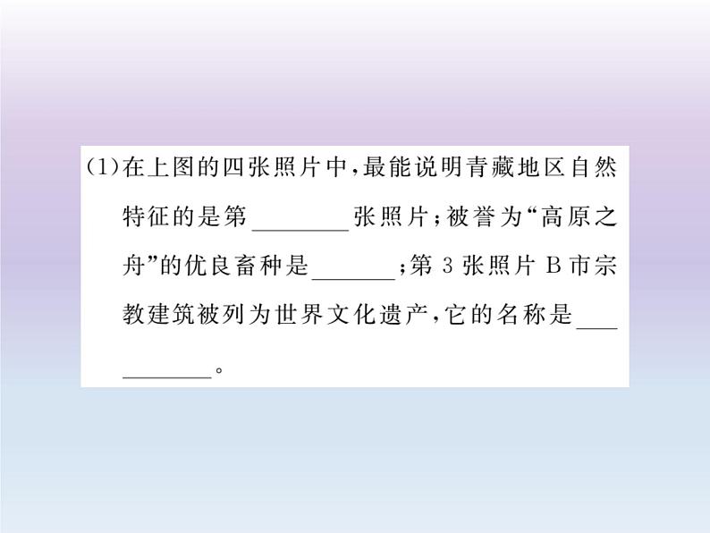 初中地理8下第九章 青藏地区期末读图复习课件08